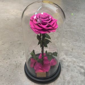 DeFaith Preserved Fresh Flower - Ultra Violet
